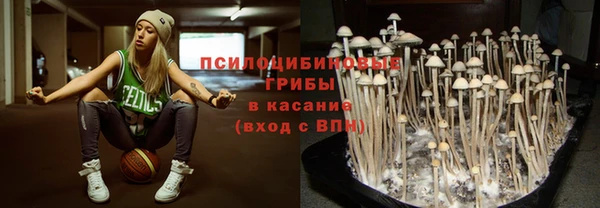 мдпв Магас