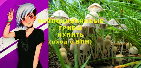 МДПВ Майский